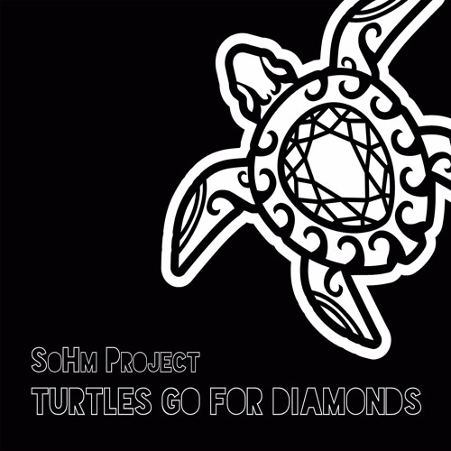 05 Turtles Go For Diamonds