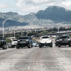 Punchie-Honolulu (EQ)