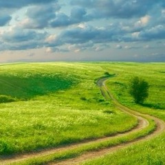 Elroid - Winnie, Malo, Perry