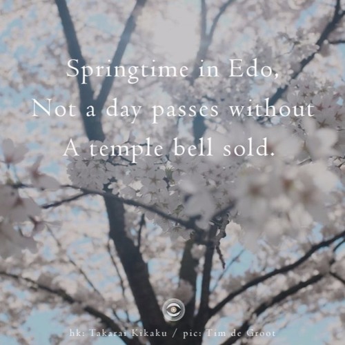 Edo Spring (naviarhaiku191)