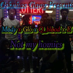 MODY X GLO X QBLOOD X EBRAZY - NOT MY HOMIES