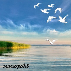 Monopohl live @ Freiluftfestival Usedom 2017