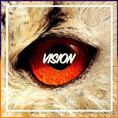 Vision
