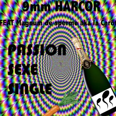 9mm HARCOR - Passion Sexe -(Feat Magnum De Sperme AKA La Carotte)