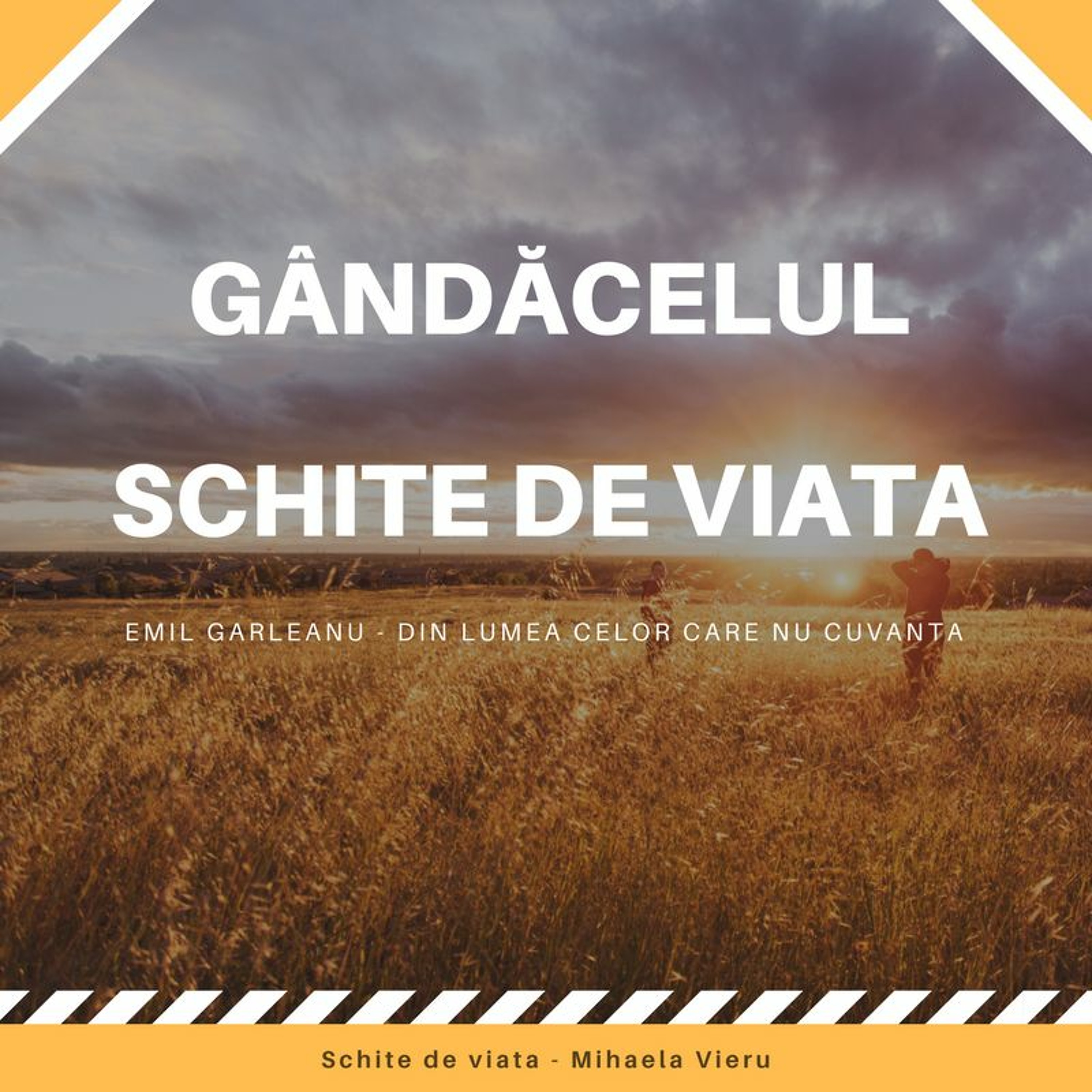 Gandacelul - Emil Garleanu - Schite de viata episode artwork