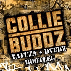 Collie Buddz - Come Around (Yatuza x Dvekz Bootleg )Free Download