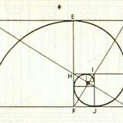 Roty340 Sativa Melon 3 62