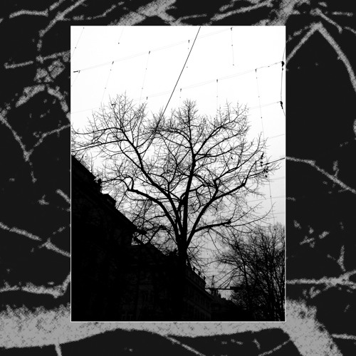 Something I Saw In The Mist