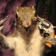 Sucidal Squirrel