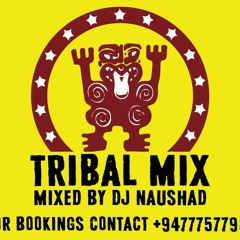 Tribal Mix