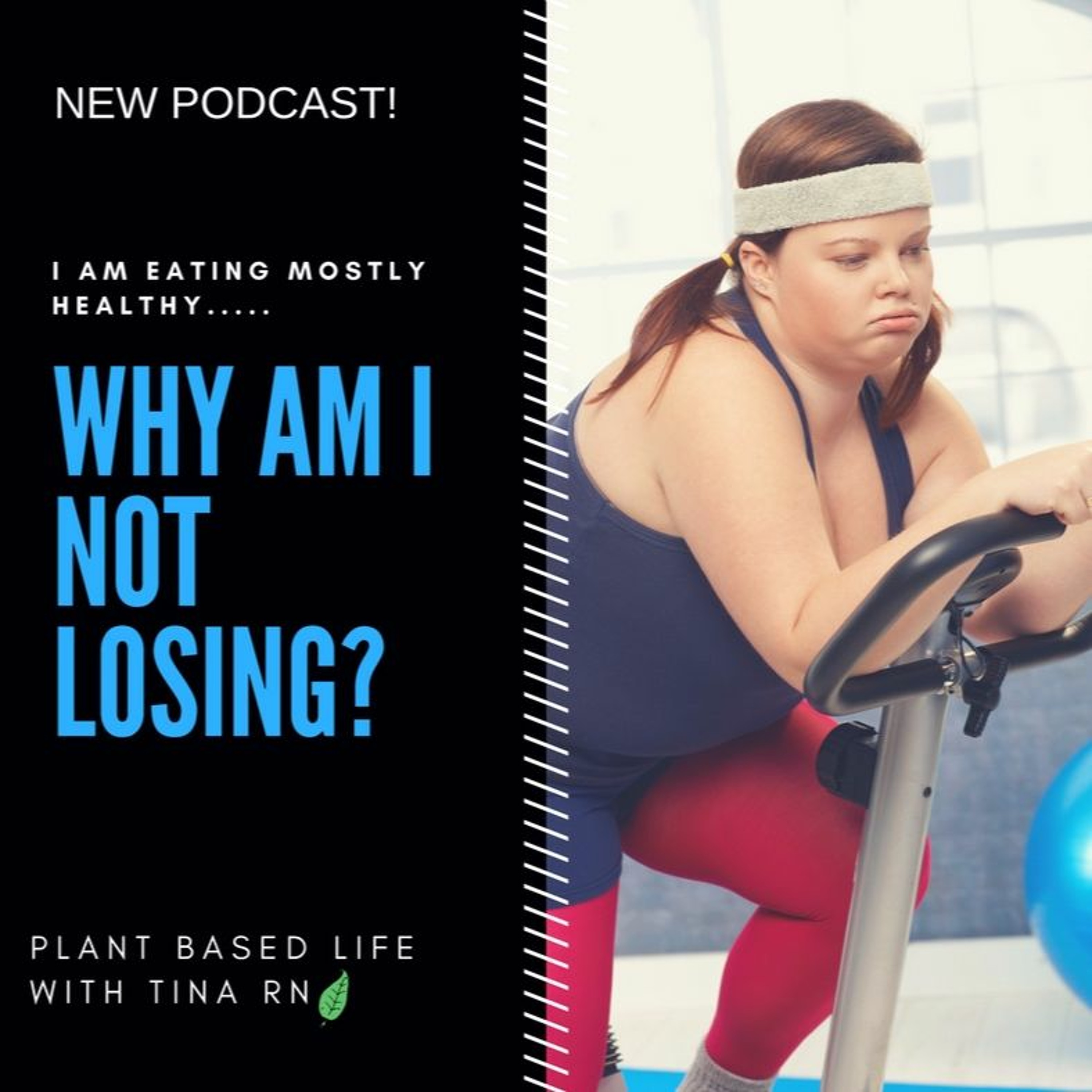 Episode 17; Why Am I Not Losing the Weight?