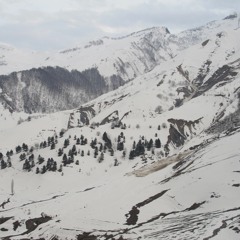 Michelle Gurevich - Lovers are Strangers