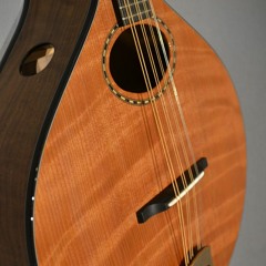 OM Ftop, Redwood,walnut, Small Body, Long Scale, 2017