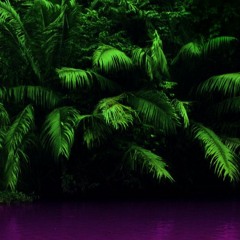 FIJI LEAN