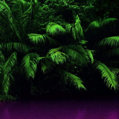 FIJI LEAN