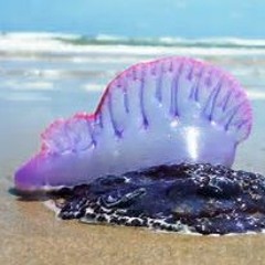 Forgiven Again(dreamscape)