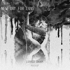 Tony Serk vs Bobby Rock - New Life For Love (Luvied Oniam Mashup)