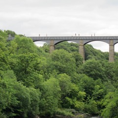 The Libertines, what became of the likely lads