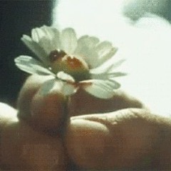 Valerie a tŷden divů