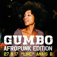 DJ Anaïs B's set from Gumbo X Afropunk Brooklyn 2017