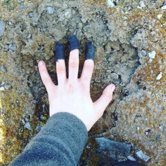 Snake Mountain Blues- Townes Van Zandt Cover