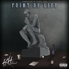 Point Of Life