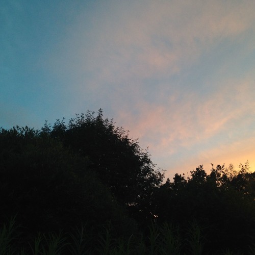 Future Love (Demo)