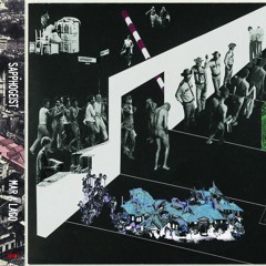 Sapphogeist - Negentropy BNK-014 (LTD, Cass)