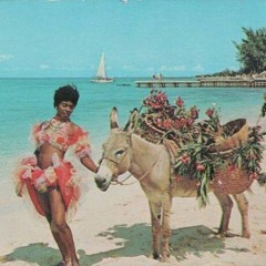 A Divorced Hasidic Schoolteacher Wakes Up in a Caribbean Brothel