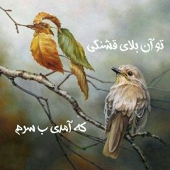 فریاد _ شهرام شکوهی