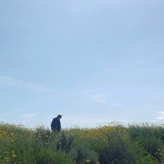 Wait & See Feat. Ahimsa