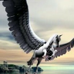 PEGASUS