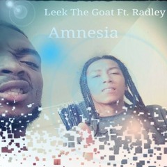 Leek The Goat- Ft. Radley-Amnesia