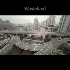 wasteland (remix) w the kuzari