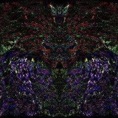 eat the camera (take 2)