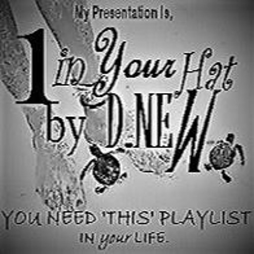 1 In YOUR HAT: MIXTAPE all songs writen & produced by D.NEW 240