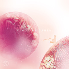NWS004 : Modulo - Find The Truth