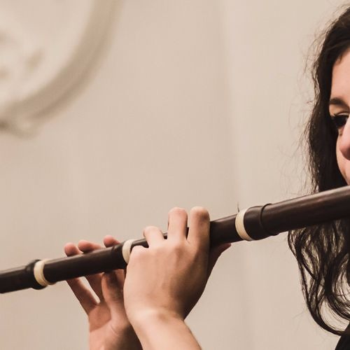 Stream Florencia Gómez. Flute | Listen to Traverso playlist online for free  on SoundCloud