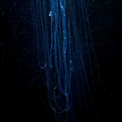 Kelper - Deep In The Ocean