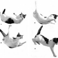 Falling from high places