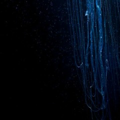 Soundtrack for movie