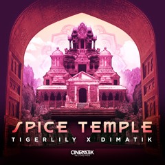 Tigerlily & Dimatik- Spice Temple (Overdrive Remix)