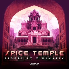 Tigerlily & Dimatik- Spice Temple (Aristo G Remix)