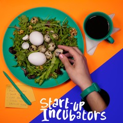 S01E03 - That one time you got that 150 million dollar offer within the incubator