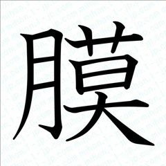 【Dubstep】処女膜を大切にしてほしいという思い。