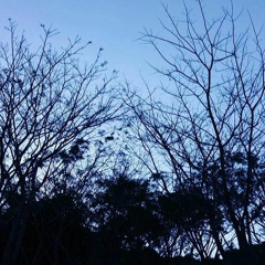 Akad - Payung Teduh (Cover)