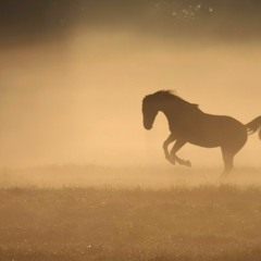 Steppe Rock