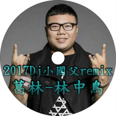 葛林 - 林中鳥2017Dj小國父remix