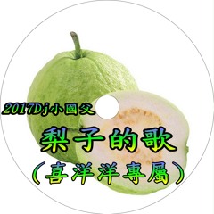 2017Dj小國父 梨子的歌(喜洋洋專屬)