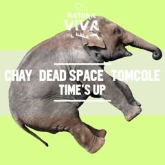 Chay & Dead Space, TomCole - Be In Time [Natura Viva Music]